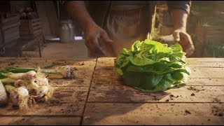 Really fresh vegetables | Rohlík.cz