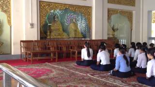 Shwedagon Paya in Myanmer  寺院でお経を唱えるミャンマーの女子高生たち