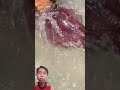 Giant Squid Caught by Hand! Unbelievable Scene at the Beach! #Squid #Fishing