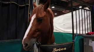 Stables at the Longines Masters of Los Angeles 2015