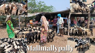 Every Sunday Mall Mallypally Market