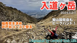 【入道ヶ岳 登山】福寿草を求め井戸谷コースで登る！グレーピークの短山国見岳もピークハントでっす　2024年2月