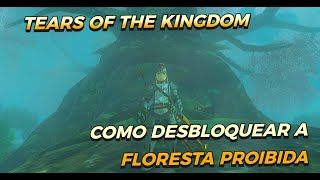 Zelda Tears Of The Kingdom   Como entrar na Floresta Proibida ‐ Korok Forest