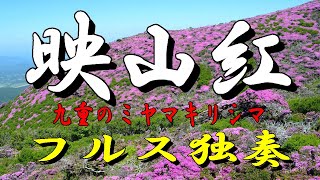 0085「映山紅」　中国曲　九重　平治岳　大船　ミヤマキリシマ　フルス　葫芦絲　ひょうたん笛　hulusi