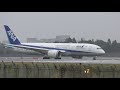 ✈ 4k 雨の逆噴射 jal u0026 ana b787 landing @narita airport rwy34r 成田空港