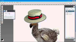 Introduction to Aviary's Image Editor