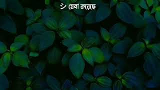 যেখানে যে মাটিতে বসে অবিবাহিত যুবক যুবতী যেনা করেছে। Abu toha adnan.