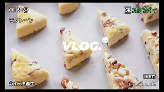 Scone vlog / 经典蔓越莓司康和巧克力坚果司康