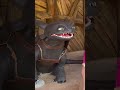 I Met TOOTHLESS in Epic Universe!!🥹 #toothless