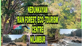 NEDUMKAYAM RAINFOREST|ECO-TOURISM POINT |NILAMBUR