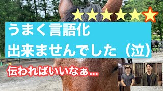 205.速歩/駈歩など全てにおいて馬をコントロールする時の意識