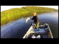 hatcam bass u0026 walleye fishing