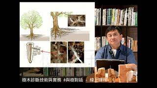 【線上影音課程3分鐘試讀】樹木細根的分佈與功能 #樹木診斷技術與實務-與樹對話-“線上課程”  #樹學堂