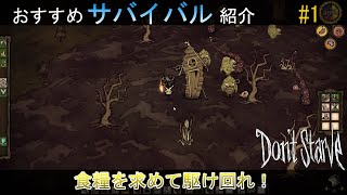 【Don't Starve】食糧問題がいつも大変！飢えないように生き抜け！【おすすめサバイバル紹介】【ドントスターブ】