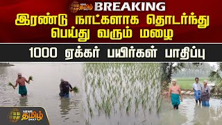 இரண்டு நாட்களாக தொடர்ந்து பெய்து வரும் மழை...1000 ஏக்கர் பயிர்கள் பாதிப்பு | Rain | Thanjavur