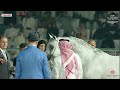 N.131 EKS FARAJJ - World Arabian Horse Championship 2023 - Doha - Senior Stallions - Section A