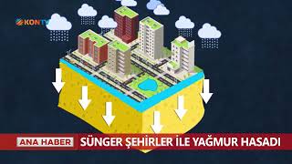 Sünger şehirler ile yağmur hasadı