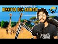 Filósofo reage a Visão Libertária sobre direitos dos animais | Ancap.Su