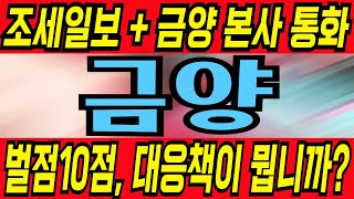 [금양 주가전망] IR담장자 직통!  벌점10점...상장폐지 위험? 대응책이 뭡니까 조세일보 금양 본사 통화해봤습니다