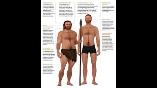 20 Fascinating Facts About Neanderthals: Unveiling Our Prehistoric Cousins