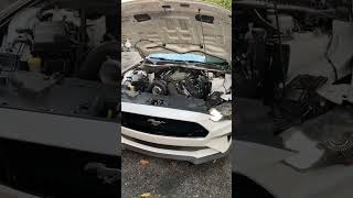 2019 mustang 15 hr motor swap done. #shorts #vortech #gen3coyote