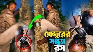 যশোরের যশ খেজুরের সন্ধ্যা রস সংগ্রহ🤯😍-Date Juice In Jashore-খেজুরের রস-Mr Jashorian