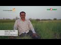 grosmart onion farmer testimonials smart fertilizer farmers speak coromandel fertilizers