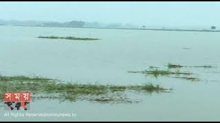 নওগাঁর ৬টি উপজেলায় ৪০ হাজার হেক্টর জমির ফসল নষ্ট!