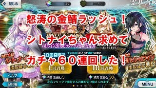 【FGO】怒涛の金鯖ラッシュ！シトナイちゃん求めてガチャ60連！【び～け～ち～】