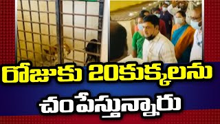 జీహెచ్ఎంసీ అధికారుల నిర్వాహకం.. కుక్కల్ని చంపేస్తున్న సిబ్బంది | Swatantra TV