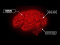 AI Concepts Every JavaScript Engineer Should Know