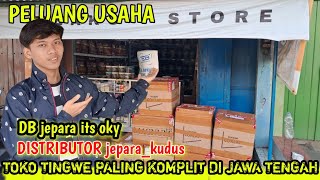 PELUANG USAHA//ide usaha dengan minim bajet dan minim resiko