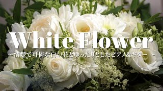 Surrounded by White Flowers ~Healing music that touches the heart~