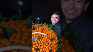 Mandarin buket🍊zakazga+998934982996#flowers#fruit#bouquet#lobarxon_flowers#mandarinbuket#mandarin