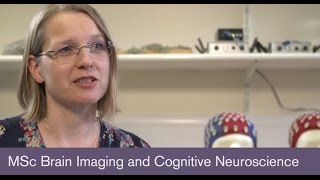 MSc Brain Imaging and Cognitive Neuroscience