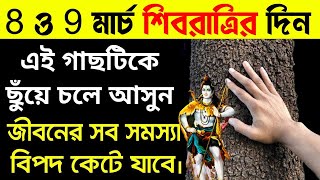 মহা শিবরাত্রির দিন এই গাছটিকে ছুঁয়ে চলে আসুন সুখ শান্তি অর্থে জীবন ভরে উঠবে খুব গোপন টিপস