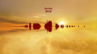 Kate Bush - Aerial Tal (Instrumental)