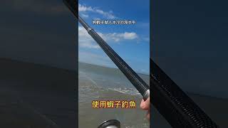 竹圍漁港釣午魚#釣魚#山狗大#shorts#午魚#遠投#沉底 #fishing