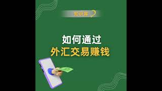 外汇交易赚钱需要策略、纪律和风险管理，而非快速致富计划。关键在于正确预测货币价格走势📈