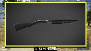 【绝地求生 PUBG】吃鸡小讲堂272：如果要删除1把武器，你选什么？它们消失都没人发觉