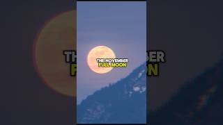 November Full Moon | Last Supermoon Of 2024 | Beaver Moon