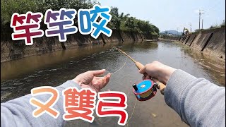 【夯魚癡】好久沒竿竿咬了，還雙弓