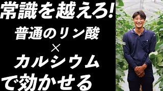 リン酸をどう生かすかが大事・NGの先に何を生み出す？農業収益UPs‼　LaPlaS　leaf-energy