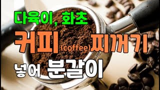 천연영양제(2)  커피 찌꺼기 (다육이, 관엽식물 분갈이)  / 커피 찌꺼기의 탁월한 효과(퇴비실험)