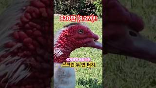 조회수가 무료 820만! 이 영상 보셨나요?