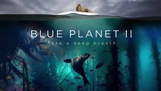 James Wakefield | BBC Blue Planet - David Attenborough | Nature Documentary Film Music
