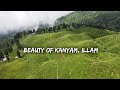 The mesmerizing beauty of Kanyam, Illam | Kanyam Drone shots | Yatri | Nepal