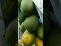 ഈ ഐഡിയ കൊള്ളാം.. shortvideo