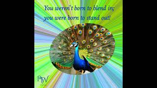 You weren’t born to blend in; you were born to stand out! | PTW Financial