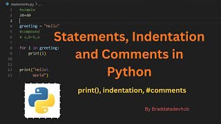 Statements, indentation, comments and docstrings | Python tutorial #4